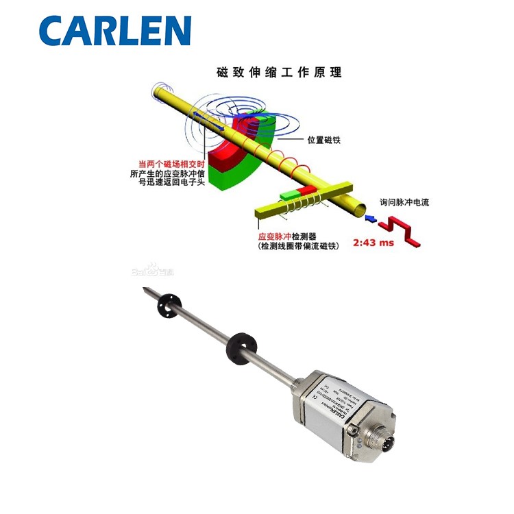 CARLEN传感器